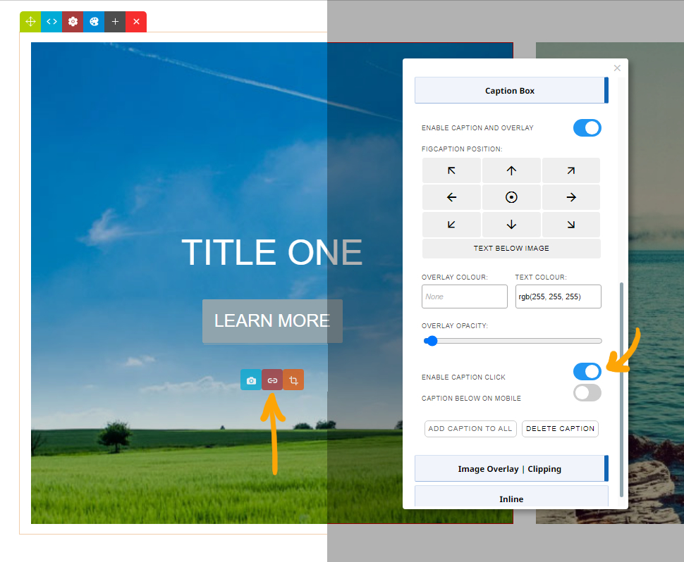 Caption Box Example Content Management System Online Help